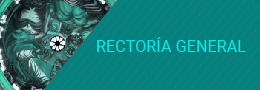 bn_rectoria